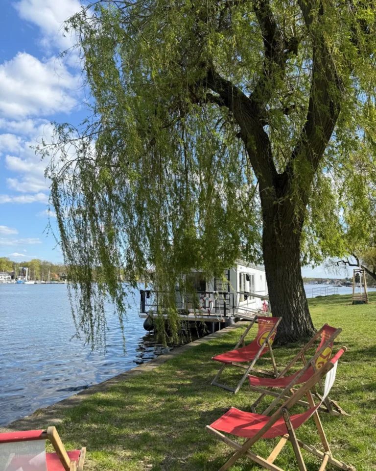 Instagram post from mjzlangersee. This post is in position 3.